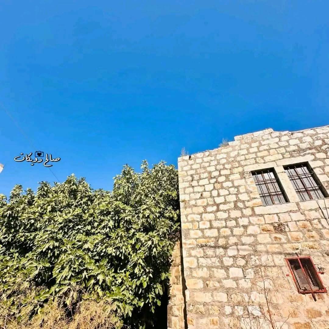 من قرية إجنسنيا شمال غرب نابلس   تصوير صالح دويكات